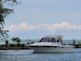 Charter Image