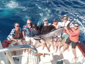 Charter Image
