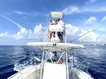 Xiphias Dusky 33 thumbnail