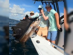 Charter Image