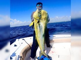 Charter Image