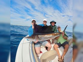 Charter Image