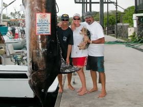 Charter Image