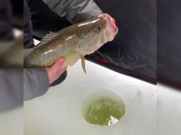 PikeDreamers Ice Fishing Guided Trip!