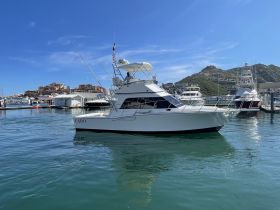 Charter Image