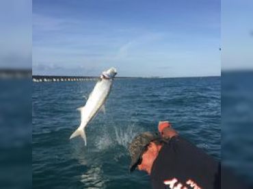 Tarpon Charters with Captain Butch Hewlett