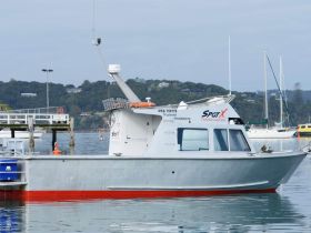SpotX Fishing Charters – Wairere