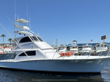 Blue Water Connection- Billistic ll thumbnail