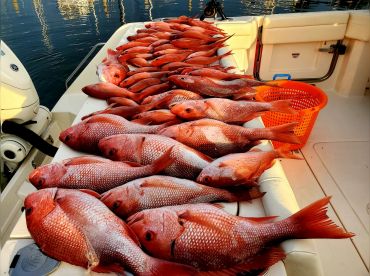 Gotcha Fishing Charters thumbnail