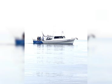 Simonizer Fishing Charters thumbnail