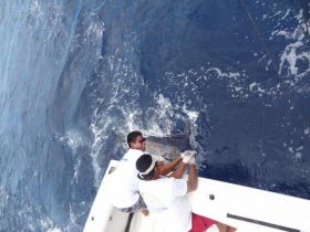 Charter Image