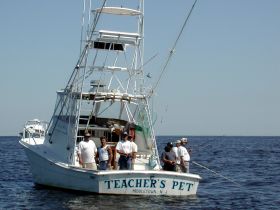 Teacher's Pet Sport Fishing