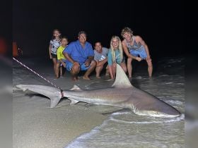 Charter Image