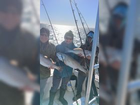 Charter Image