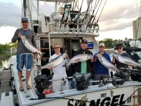 Sea Angel Charters – Toronto