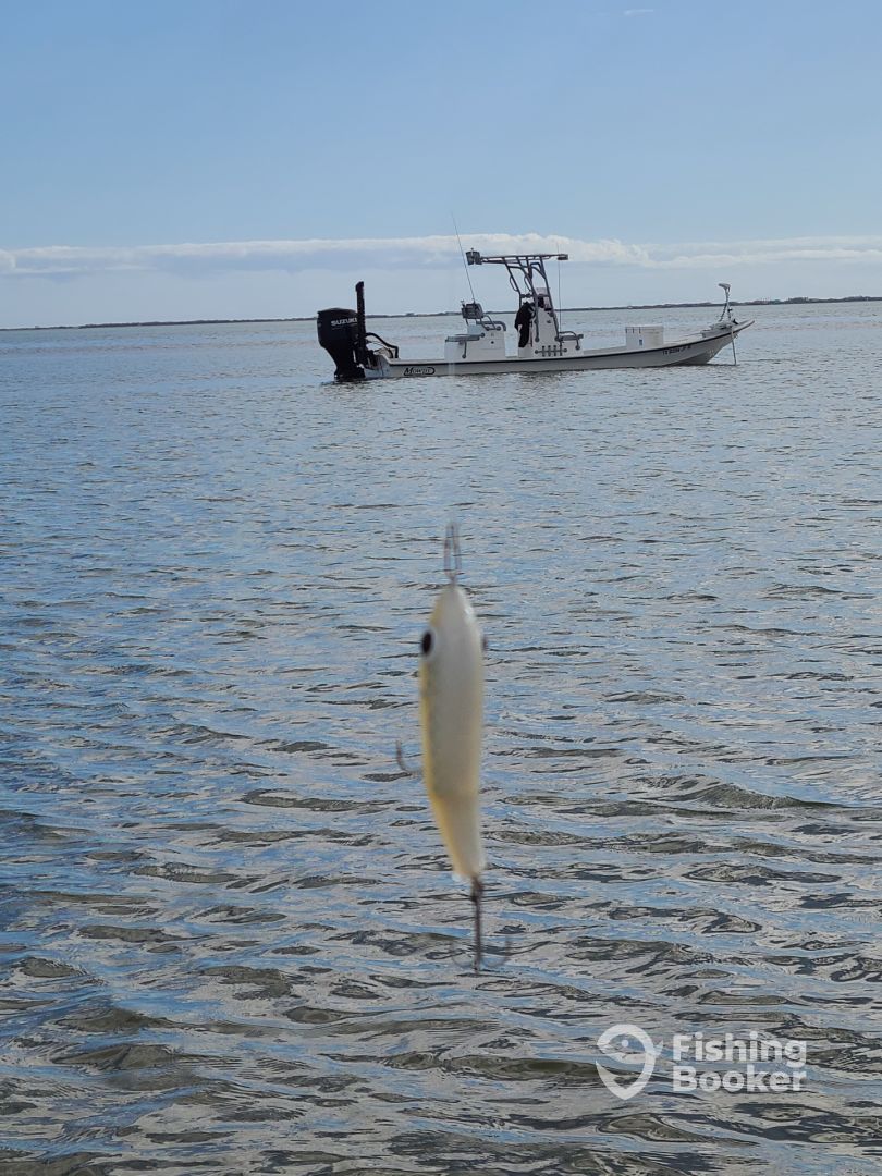 Boat Image