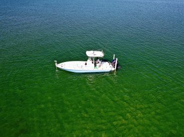 Second Generation Bay Boat Charters thumbnail