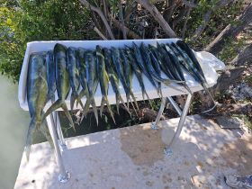 offshore trolling