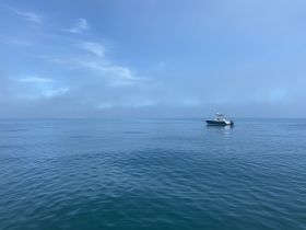 Charter Image