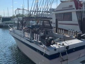 Charter Image