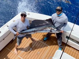 Sailfish
