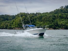 Charter Image