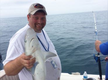 Blacktip Shark