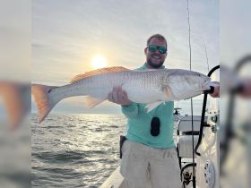 Charter Image