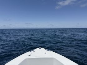 Charter Image