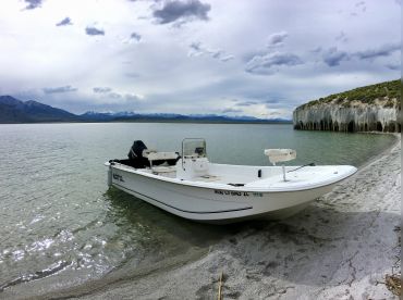Wild Fly Anglers Guide Service