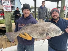 46lb Black Drum! What a fight!