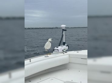 Custom Deluxe Sportfishing thumbnail