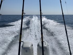 Charter Image