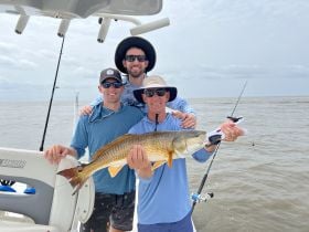 Charter Image