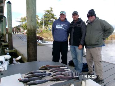 Werner Ocean Adventures thumbnail