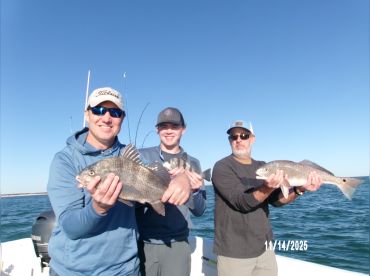 Werner Ocean Adventures thumbnail