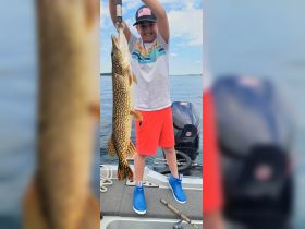 Big pike.