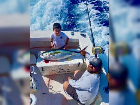 Charter Image