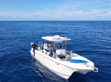 Thermocline Charters - St Pete
