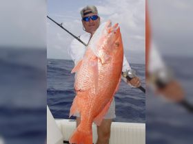 Charter Image