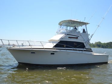 Galveston Island Fishing Charter thumbnail