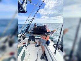 Charter Image