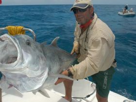 Charter Image