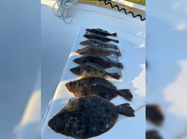 Reel Adventures thumbnail