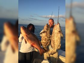 Blacks and Cubera Snapper