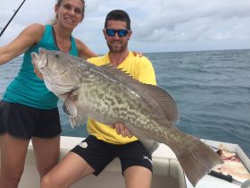 Tasty Gag Grouper