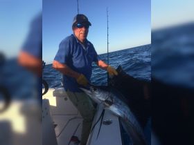 Sailfish action