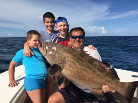36lb BlackGrouper