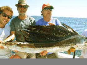 Charter Image