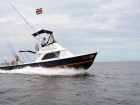 Charter Image